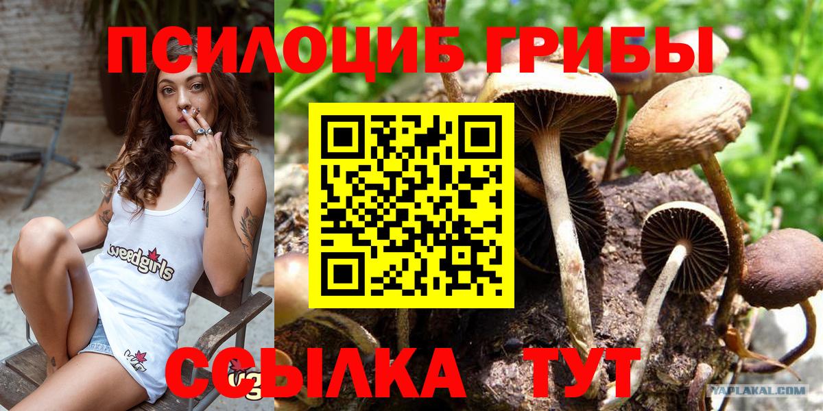 Псилоцибиновые грибы Cubensis Скопин