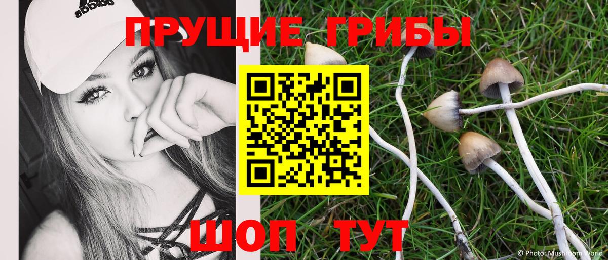 что такое   Галлюциногенные грибы Psilocybine cubensis  Вход с VPN  Скопин 